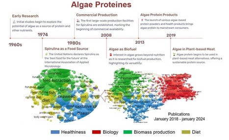 Les protéines d’algues : une alternative durable aux protéines animales dans diverses matrices alimentaires | Life Sciences Université Paris-Saclay | Scoop.it