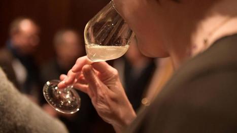 Du d&eacute;bouchage &agrave; la bulle de champagne, 20 ans de recherches | Le fil d'actualit&eacute;s de l'URCA | Scoop.it