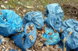 Affaire des vols de sacs poubelle : pas de révocation pour l'agent | Veille juridique du CDG13 | Scoop.it