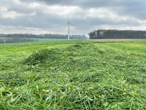 En 2023, un déficit de 8% de la pousse d’herbe | Actualité Bétail | Scoop.it