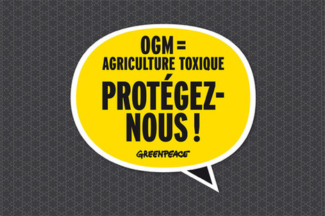 OGM : le retour de la menace | Toxique, soyons vigilant ! | Scoop.it