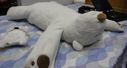 Video: Japanese Robotic Polar Bear Gently Smacks Snorers in the Face | Popular Science | Science News | Scoop.it
