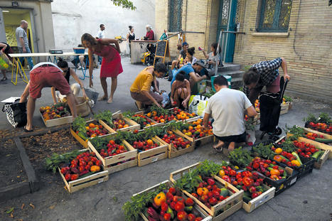 Et si on faisait entrer l&rsquo;alimentation dans la S&eacute;curit&eacute; sociale&thinsp;? | Strat&eacute;gie pauvret&eacute; et pacte des solidarit&eacute;s | Scoop.it