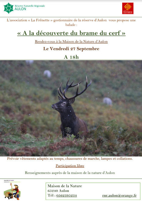 Ecoutez le brame du cerf dans la Réserve naturelle régionale d'Aulon le 27 septembre | Vallées d'Aure & Louron - Pyrénées | Scoop.it