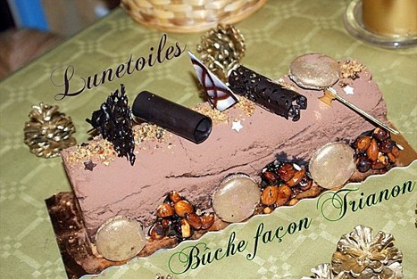 Bûche façon trianon | recettes pour le dessert : gateaux, desserts et patisseries, boissons rafraichissantes ou boissons chaudes selon la saison | Scoop.it