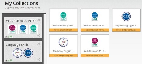 Los emblemas digitales en el aprendizaje a lo largo de la vida: conversación abierta | TIC & Educación | Scoop.it