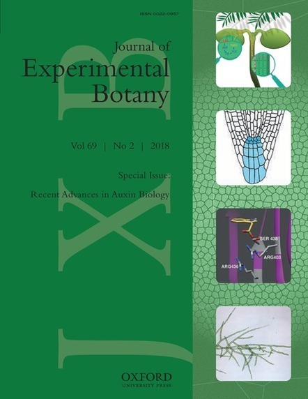 Auxin: small molecule, big impact | Journal of Experimental Botany  | Plant Gene Seeker -PGS | Scoop.it