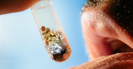 Does Anyone Know What ‘Wellness’ Means Anymore? | Hésitations Vaccinales: Observatoire HESIVAXs | Scoop.it