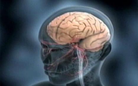 Three Books That Explore the Human Brain | Empathy Movement Magazine | Scoop.it