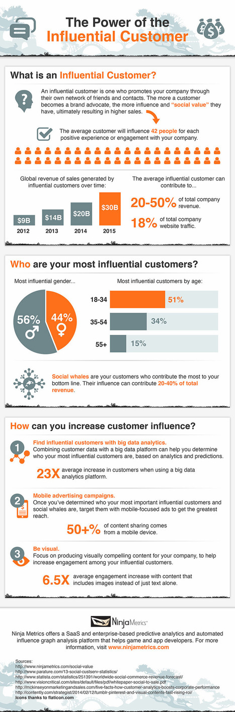 Leveraging Influential Customers: Your Most Important Online Marketing #Infographic | Curation Revolution | Scoop.it
