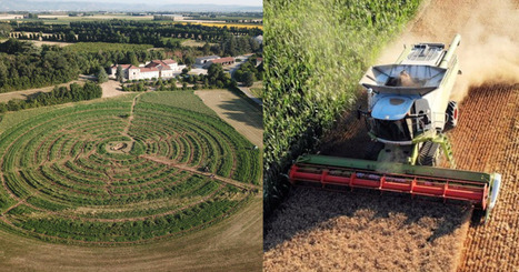 Vers la confrontation des modèles agricoles : une dégradation du débat public à travers les médias | Elevage et société | Scoop.it