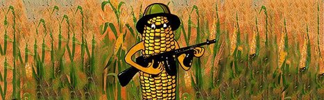 La guerre des brevets : Un reportage &agrave; ne pas manquer | Libert&eacute;s Num&eacute;riques | Scoop.it