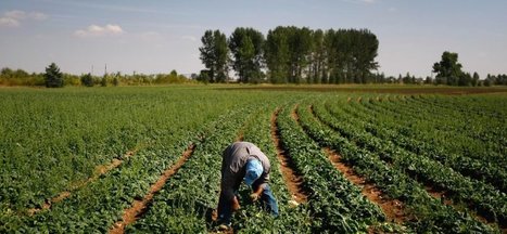 How Big Data is disrupting U.S. Farming | Technology in Business Today | Scoop.it