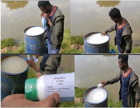 AFRICA : Risks of pesticides on aquatic ecosystems and pesticide management effectiveness in Ethiopia | CIHEAM Press Review | Scoop.it
