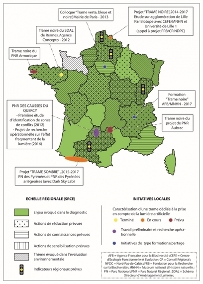 Pollution lumineuse et trame verte et bleue : vers une trame noire ... | ECOLOGIE - ENVIRONNEMENT | Scoop.it