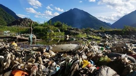 Trop de plastiques dans nos rivières | Biodiversité | Scoop.it