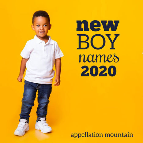 The Numbers are Here! | Name News | Scoop.it