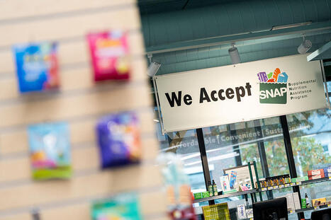 41 states at risk of losing federal SNAP funds, new data shows: What to know - The Hill | Backstabber Watch | Scoop.it