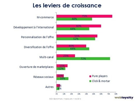 Entre click&mortar et pure players, les axes de croissance divergent | Web-to-Store | Scoop.it