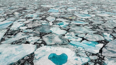 Da giorni le temperature dell&rsquo;Artico superano i 32 gradi. E la situazione &egrave; destinata a peggiorare | Remembering tomorrow | Scoop.it