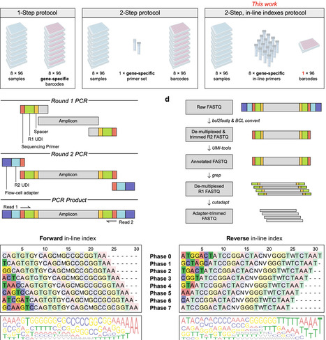 CUPID-seq enables highly multiplexed amplicon sequencing via combinatorial in-line dual indexing | brvt | RMH | Scoop.it