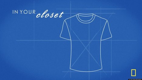 WATCH: The Water Footprint Of A T-Shirt | Stage 4 Water in the World | Scoop.it