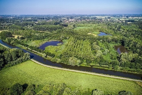 Les zones humides disparaissent trois fois plus vite que les forêts... et c’est très grave | ECOLOGIE - ENVIRONNEMENT | Scoop.it