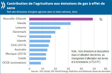 Les pressions environnementales progressent en Nouvelle-Zélande - OCDE | Lait de Normandie... et d'ailleurs | Scoop.it