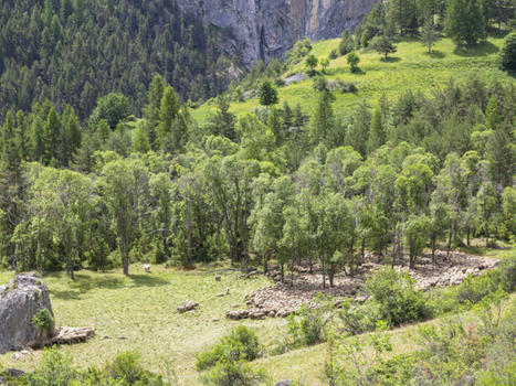 L’Office Français de la Biodiversité : à la découverte des missions du service départemental des Alpes-de-Haute-Provence | Biodiversité | Scoop.it