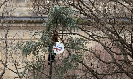Banning of protester from D.C. after inauguration ignites debate on free speech | Intervalles | Scoop.it