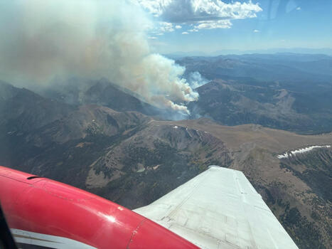 Beulah fire passes 4,000 acres, over a decade old dead trees threatening firefighting activity - abc4.com | Operation Deimos | Scoop.it