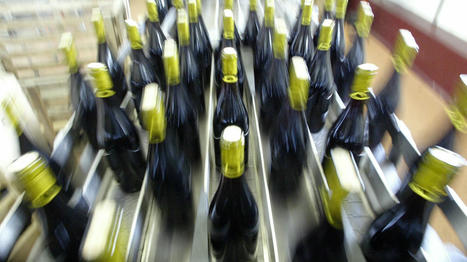 La chute de la production mondiale de vin est une "conséquence directe du dérèglement climatique", selon le président des Vignerons indépendants | Planète DDurable | Scoop.it
