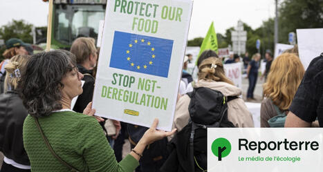 Des OGM bient&ocirc;t dans nos assiettes&nbsp;: l&rsquo;Europe a donn&eacute; son feu vert | Environnement : Politiques Publiques et Strat&eacute;gie | Scoop.it