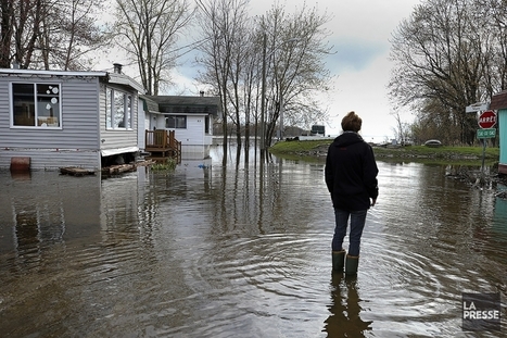 Québec. Inondations : les sinistrés ne sont pas au bout de leurs peines | Variétés entomologiques | Scoop.it