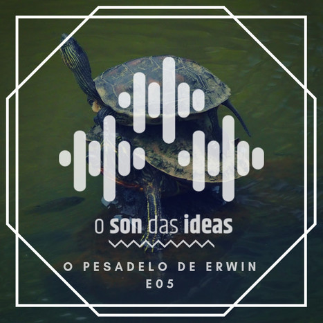 O Son das Ideas - E05 - O pesadelo de Erwin en O Son das Ideas en mp3 | Ciencia-Física | Scoop.it