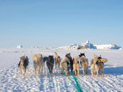 Le Danemark pr&ecirc;t &agrave; affronter militairement les &Eacute;tats-Unis en cas d&rsquo;invasion du Groenland | DEFENSE NEWS | Scoop.it