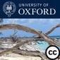 Introduction to Mindfulness | University of Oxford Podcasts - Audio and Video Lectures | Science News | Scoop.it