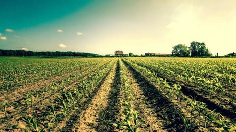Climat : l’Europe n’investit pas assez | Changement climatique & Biodiversité | Scoop.it