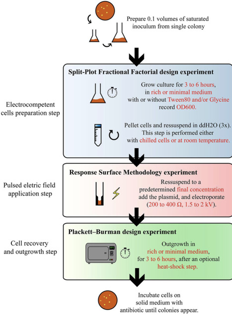 Optimisation of DNA electroporation protocols for different plant-associated bacteria | jmm | RMH | Scoop.it