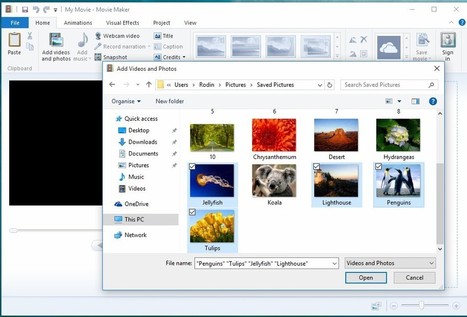 Don't Miss Windows Movie Maker (Best Free Video Editing Software) | TIC & Educación | Scoop.it