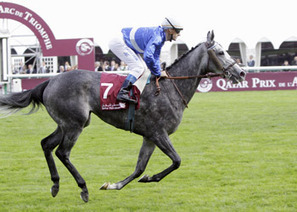 Programmes TV - L'hippisme, un cheval de bataille | Salon du Cheval | Scoop.it
