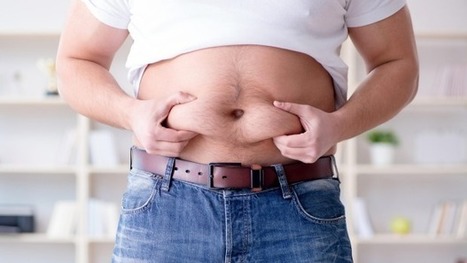 Why visceral fat is one of the deadliest enemies to your overall health | Revalued | Scoop.it