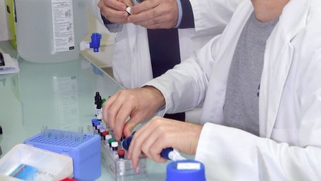 Tuberculose : le Toulousain Olivier Neyrolles primé par la Fondation pour la Recherche médicale | Revue de presse | Scoop.it