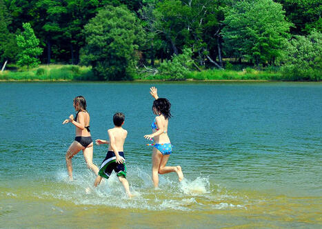 Surveillants de baignade en accueil de mineurs : un arr&ecirc;t&eacute; &eacute;largit le p&eacute;rim&egrave;tre des titres autoris&eacute;s | Veille juridique du CDG13 | Scoop.it