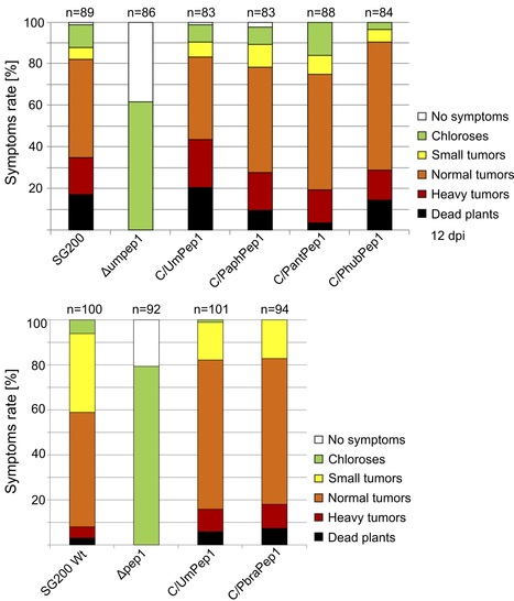 bioRxiv: Pseudozyma saprotrophic yeasts have retained a large effector arsenal, including functional Pep1 orthologs (2018) | Plants and Microbes | Scoop.it