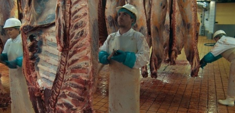 "Saigneurs", un an à l'abattoir : "Nous étions dès le départ du côté des hommes" | La Gazette des abattoirs | Scoop.it