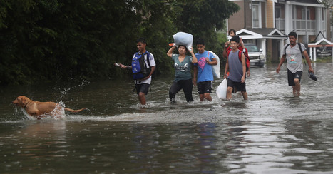 Fake News And Scams Are Going Around About The Deadly Storm In Texas | Digital Literacy in the Library | Scoop.it