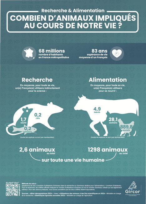 Soci&eacute;t&eacute; des Neurosciences &bull; Exp&eacute;rimentation animale | Neurovascular Intervention | Scoop.it