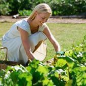 Jardinage et pesticides : comment jardiner sans pesticides, e-sante.fr | Phytosanitaires et pesticides | Scoop.it