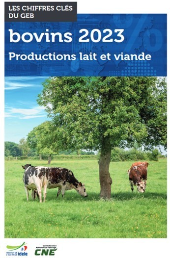 Chiffres clés Bovins 2023 Productions lait et viande | Lait de Normandie... et d'ailleurs | Scoop.it